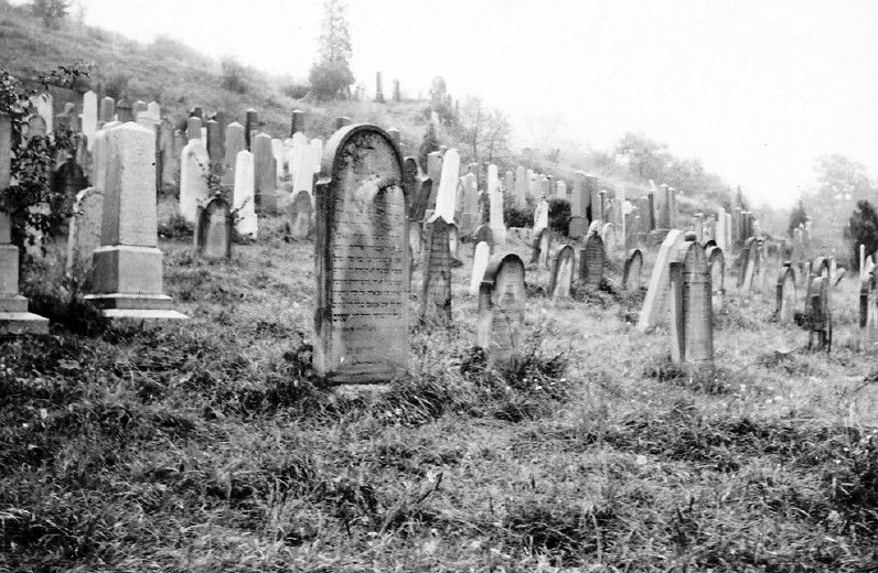 Gravestones in the Jewish cemetery at Zilina